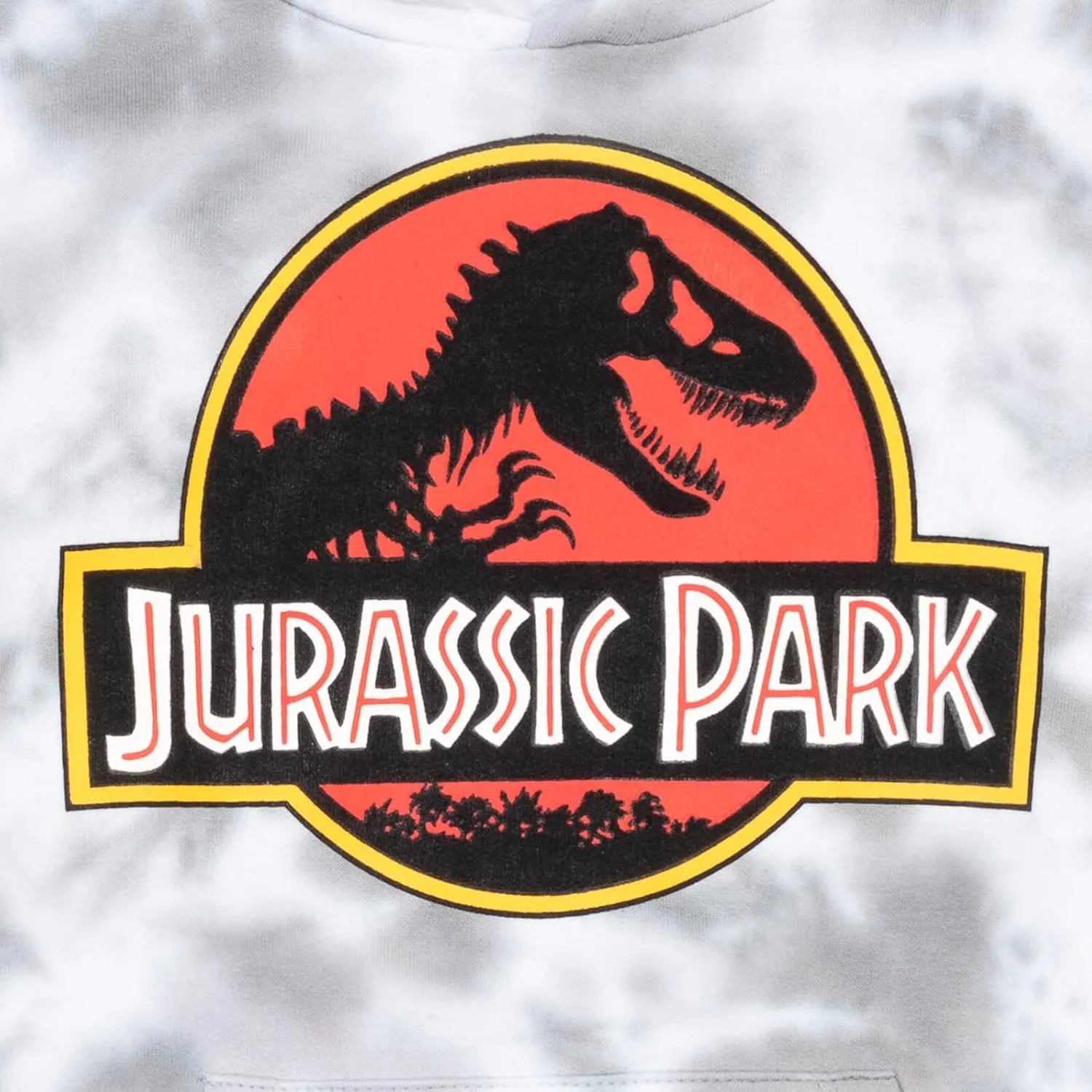Jurassic Park Fleece Pullover Hoodie Logo Toddler to Big Kid