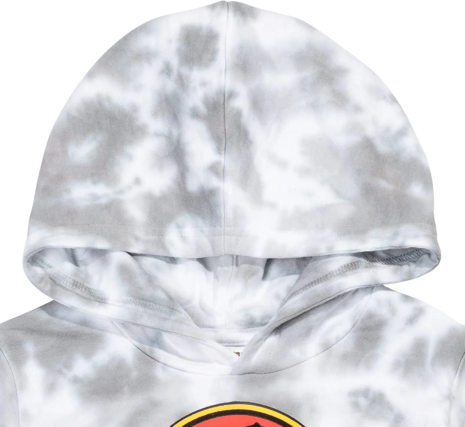 Jurassic Park Fleece Pullover Hoodie Logo Toddler to Big Kid