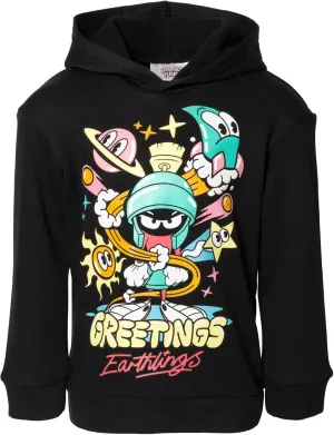 Looney Tunes Warner Bros Fleece Pullover Hoodie Toddler to Big Kid Sizes (4T - 18-20)