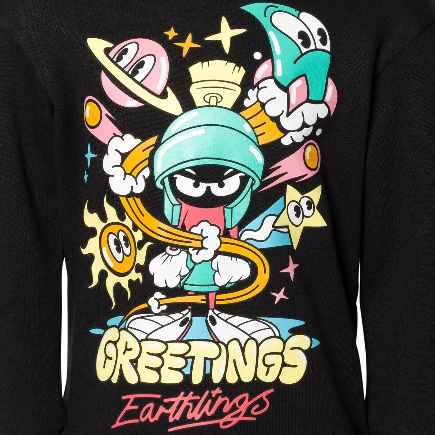 Looney Tunes Warner Bros Fleece Pullover Hoodie Toddler to Big Kid Sizes (4T - 18-20)