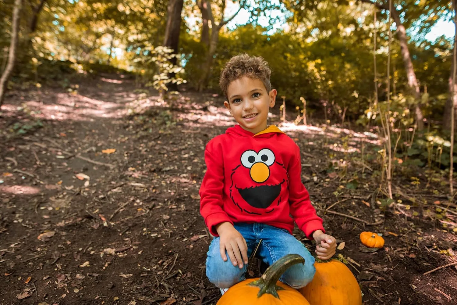 Sesame Street Abby Cadabby Elmo Big Bird Cookie Monster Oscar The Grouch Pullover Hoodie Infant to Little Kid