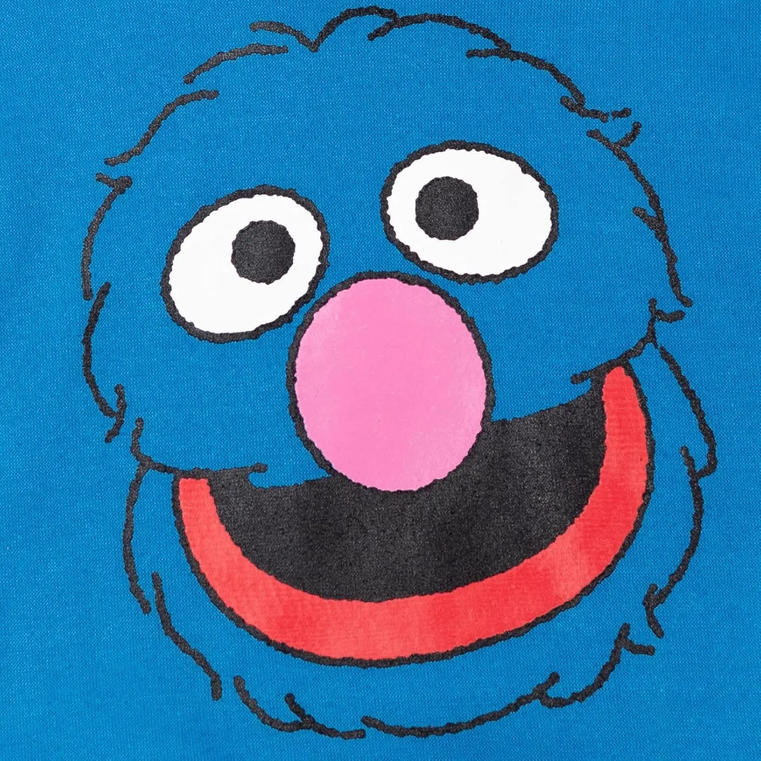 Sesame Street Abby Cadabby Elmo Big Bird Cookie Monster Oscar The Grouch Pullover Hoodie Infant to Little Kid