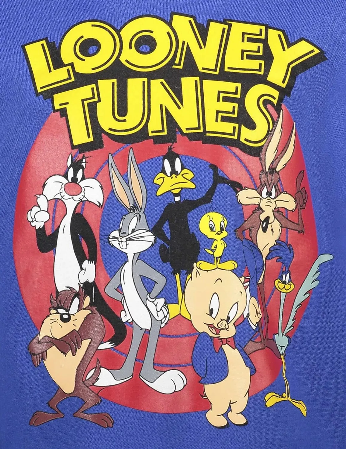WARNER BROS Looney Tunes Fleece Pullover Hoodie Toddler to Big Kid